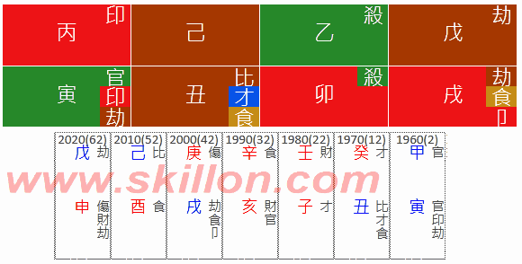 Donald Trump Joe Biden八字 BaZi Four Pillars of Destiny Patt Chee